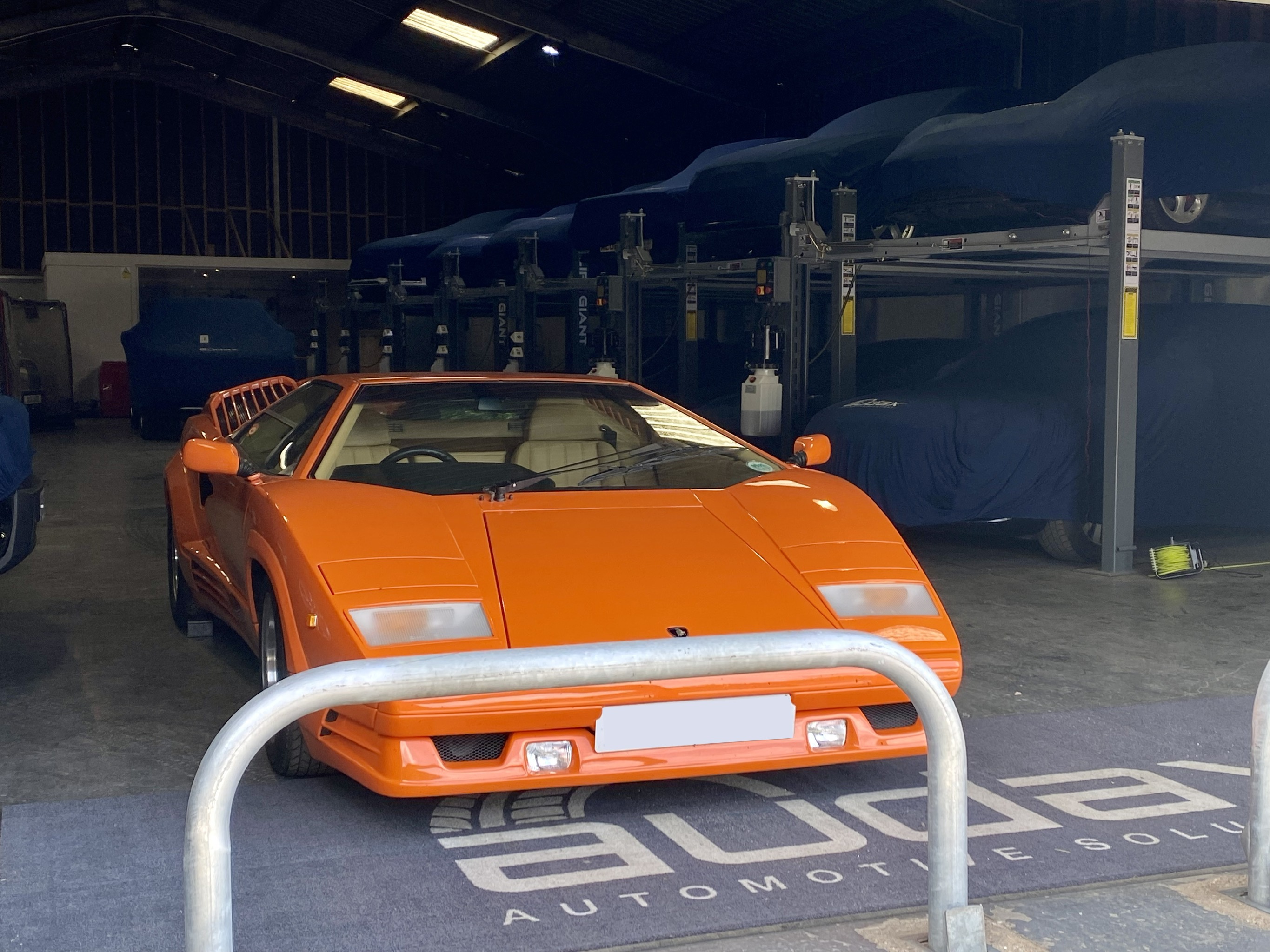 Concierge and Management Services