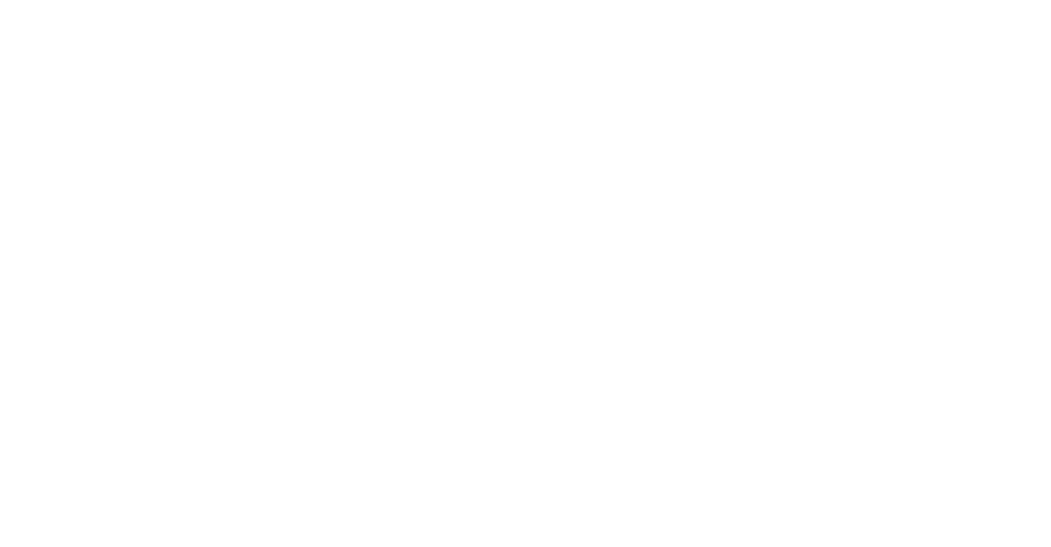 Audax Initiative Ltd